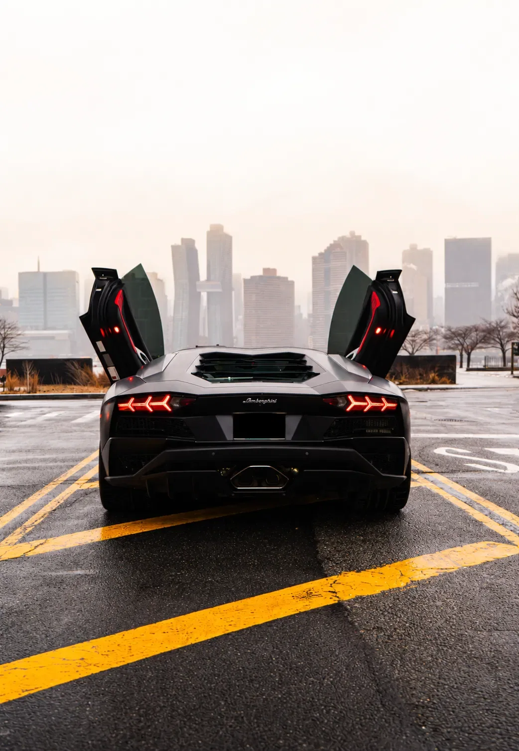 Matte Black Lamborghini Aventador S rental NYC photo 1