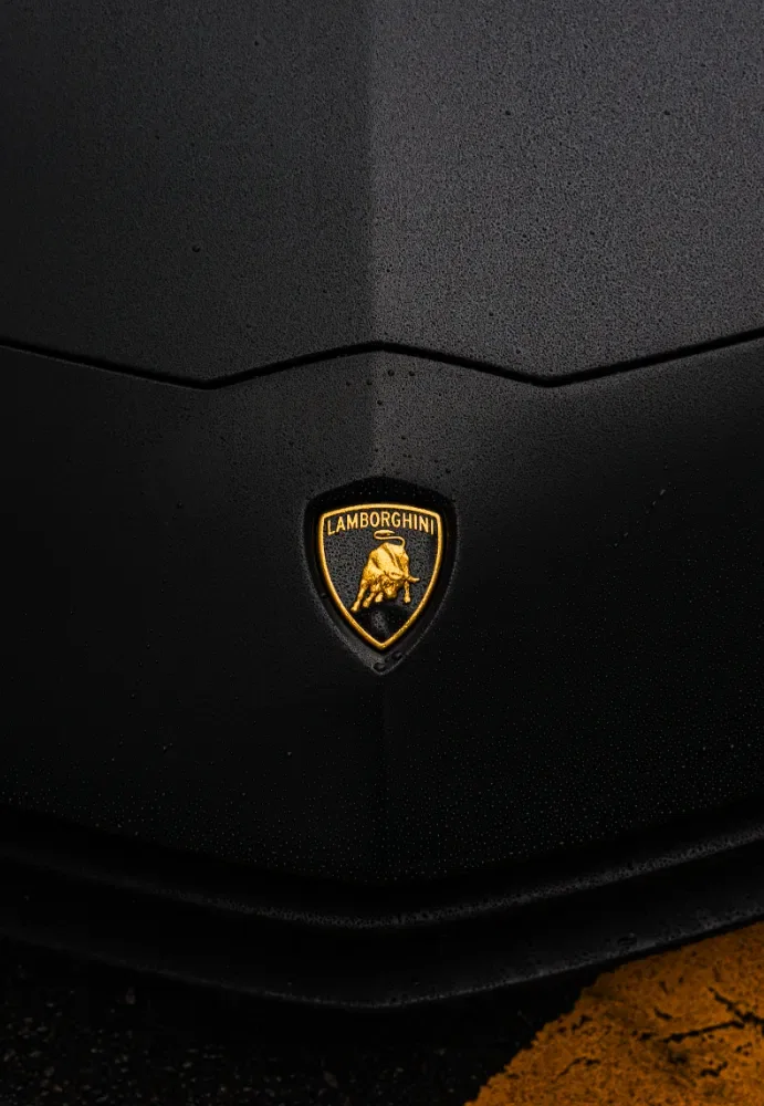 Matte Black Lamborghini Aventador S rental NYC photo 16